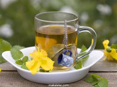 sarı kantaronlu melisa çayı zararları